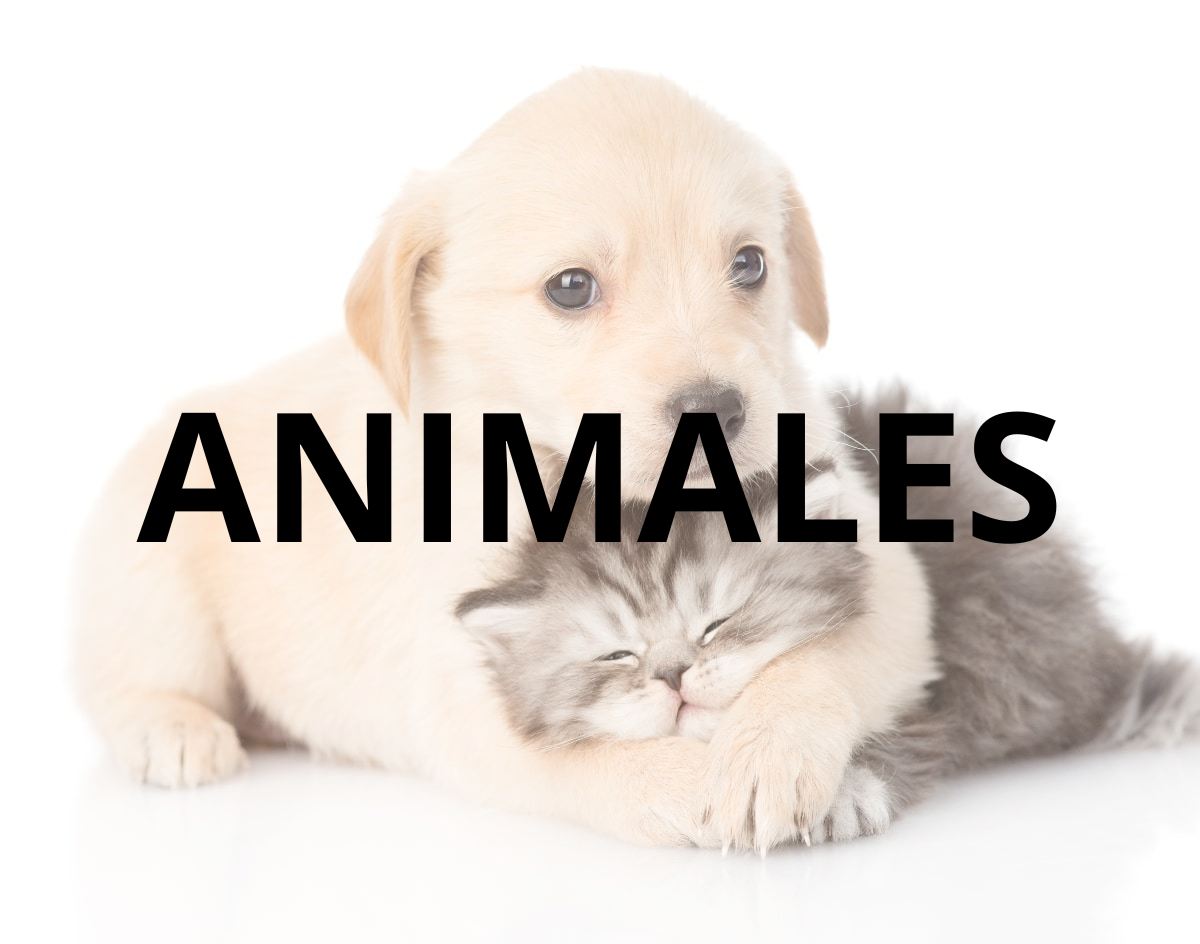 Animales